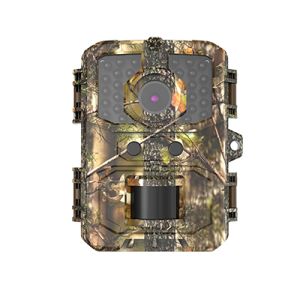 DL004